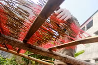 Làng hương Cao Thôn rực rỡ đón tết về ảnh 3