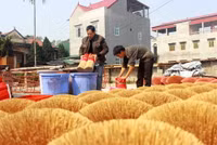 Làng hương Cao Thôn rực rỡ đón tết về ảnh 8