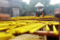 Làng hương Cao Thôn rực rỡ đón tết về ảnh 2