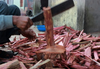 Làng hương Cao Thôn rực rỡ đón tết về ảnh 4