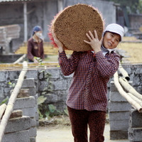 Làng hương Cao Thôn rực rỡ đón tết về ảnh 9