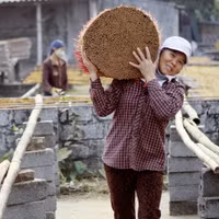 Làng hương Cao Thôn rực rỡ đón tết về ảnh 9