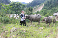 Bản làng vùng cao rộn ràng ngày bầu cử sớm ảnh 5