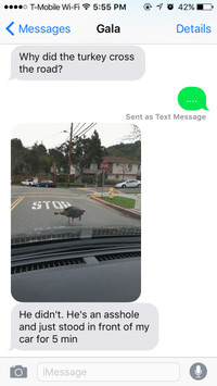 18 khoảnh khắc khi động vật hồn nhiên như cô tiên - Ảnh 1.