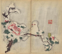 Giải mã bí ẩn cuốn sách màu cổ nhất thế giới - ảnh 4