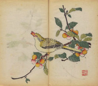 Giải mã bí ẩn cuốn sách màu cổ nhất thế giới - ảnh 8