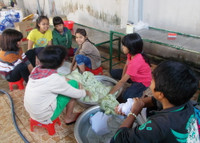 Gia Lai: Chia sẻ tết với trẻ em mồ côi, khuyết tật ảnh 1