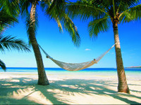 “Chết” ở Fiji ảnh 6 “Chết” ở Fiji ảnh 6