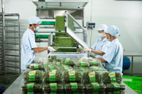 VINGROUP liên kết với 1.000 hợp tác xã và hộ nông dân cung ứng nông sản sạch và an toàn ảnh 4