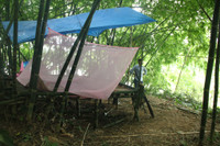 Dân bức xúc dựng lán trại chống “cát tặc” lộng hành ảnh 1