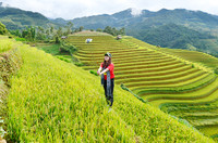 Các bạn trẻ thích thú chụp ảnh....