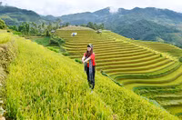 Các bạn trẻ thích thú chụp ảnh....