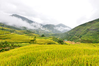 Những đám mây nhẹ nhàng luồn qua thung lũng, bên dưới chân núi là từng lớp ruộng vàng quyện lại với nhau như một bức tranh thiên nhiên đầy màu sắc.