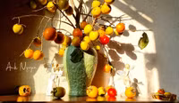Những cành hồng quả cắm bình đẹp mê mẩn, mang cả mùa Thu vào nhà