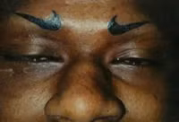 Danh sách đen những kiểu lông mày xấu ma chê, quỷ hờn mà bạn nên né - Ảnh 8.