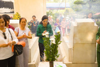 “Cõi thiêng Đồng Lộc” ảnh 11