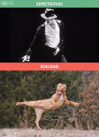 Anh em sẽ đau lòng khi biết thực tế không như ta nghĩ đâu ảnh 8