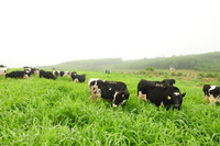 Tập đoàn TH đoạt 3 cúp Vàng trang trại hữu cơ, sản phẩm hữu cơ tiêu biểu ảnh 2