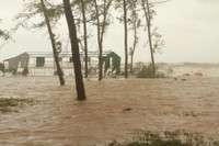 Nghệ An: Nhìn lại những hình ảnh khủng khiếp do cơn bão số 10 để lại ảnh 12