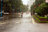 Nghệ An: Nhìn lại những hình ảnh khủng khiếp do cơn bão số 10 để lại ảnh 17