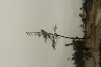 Nghệ An: Nhìn lại những hình ảnh khủng khiếp do cơn bão số 10 để lại ảnh 13