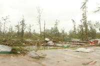 Nghệ An: Nhìn lại những hình ảnh khủng khiếp do cơn bão số 10 để lại ảnh 7