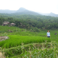 Thanh Hóa: Du lịch cộng đồng ở bản Đôn hút khách nước ngoài ảnh 3