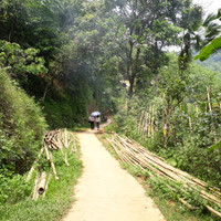 Thanh Hóa: Du lịch cộng đồng ở bản Đôn hút khách nước ngoài ảnh 1