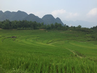 Thanh Hóa: Du lịch cộng đồng ở bản Đôn hút khách nước ngoài ảnh 2