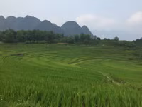 Thanh Hóa: Du lịch cộng đồng ở bản Đôn hút khách nước ngoài ảnh 2