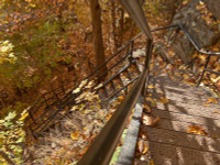 Mơ màng giữa trời thu ảnh 6