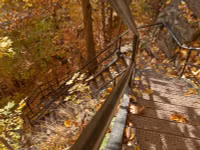 Mơ màng giữa trời thu ảnh 6