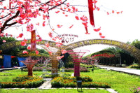 “Một cánh én sao có thể làm nên mùa Xuân…” ảnh 3 “Một cánh én sao có thể làm nên mùa Xuân…” ảnh 3