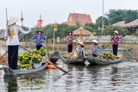 Khai mạc Tuần “Đại đoàn kết các dân tộc - Di sản văn hóa Việt Nam” năm 2017 ảnh 5