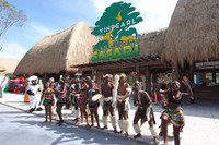 Khai trương Vinpearl Safari Phú Quốc vườn thú bán hoang dã đầu tiên tại Việt Nam ảnh 11