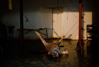 Nuôi sư tử phục vụ thú đi săn của nhà giàu ảnh 6