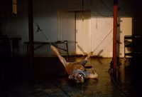 Nuôi sư tử phục vụ thú đi săn của nhà giàu ảnh 6