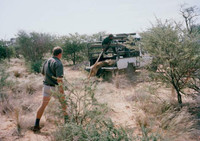 Nuôi sư tử phục vụ thú đi săn của nhà giàu ảnh 8