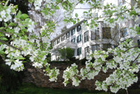 Học bổng cho học sinh Việt Nam muốn du học Mỹ ảnh 1