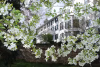 Học bổng cho học sinh Việt Nam muốn du học Mỹ ảnh 1