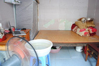 dan choi xem anh chong nong giua mua... tuyet roi hinh anh 4