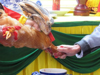 Lễ hội Minh thề ở Hải Phòng: Bao giờ vượt qua cấp thôn? ảnh 2 Lễ hội Minh thề ở Hải Phòng: Bao giờ vượt qua cấp thôn? ảnh 2