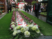 “Tiệc yêu” - Món quà hấp dẫn trong lễ Tình nhân ảnh 4