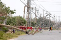 Quảng Bình: Nỗ lực hết mình khắc phục lưới điện sau bão ảnh 1 Quảng Bình: Nỗ lực hết mình khắc phục lưới điện sau bão ảnh 1