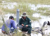 Quảng Bình: Nỗ lực hết mình khắc phục lưới điện sau bão ảnh 3