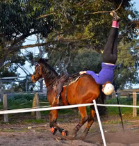 vo tinh thay thu nay, chi em chi muon tim cho… chui hinh anh 6