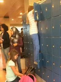 vo tinh thay thu nay, chi em chi muon tim cho… chui hinh anh 5