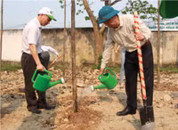 Nghệ An: Chung tay xanh hóa học đường ảnh 2