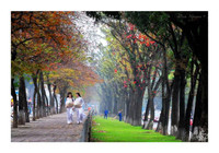 Có một Hà Nội tươi tắn trong những góc nhìn… ảnh 10 Có một Hà Nội tươi tắn trong những góc nhìn… ảnh 10