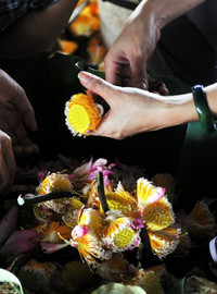 Có một Hà Nội tươi tắn trong những góc nhìn… ảnh 16 Có một Hà Nội tươi tắn trong những góc nhìn… ảnh 16